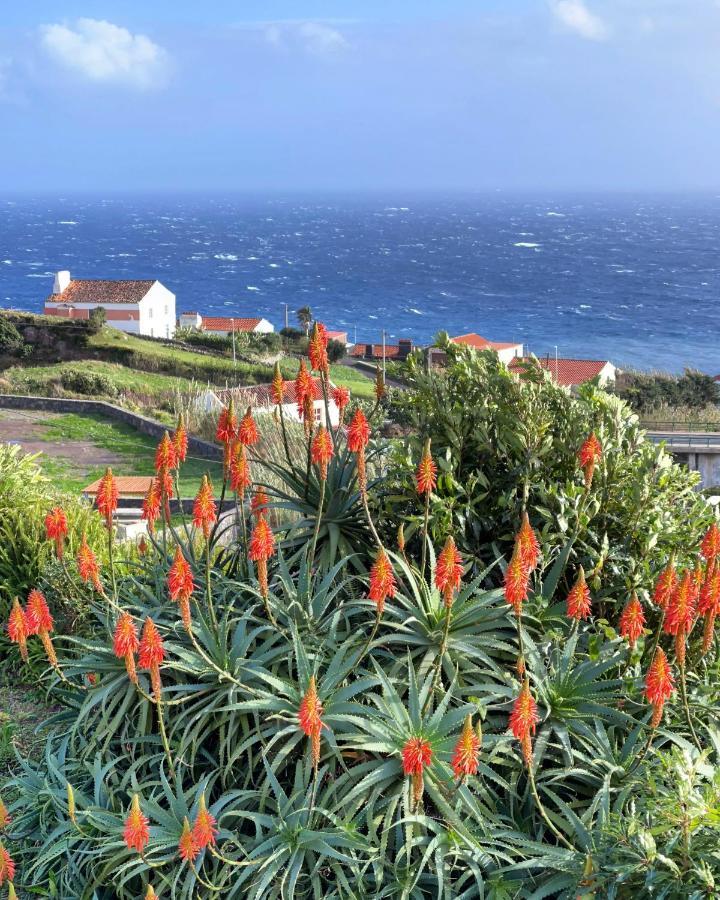 Vivenda Joaquim Villa Lajes das Flores Exterior photo